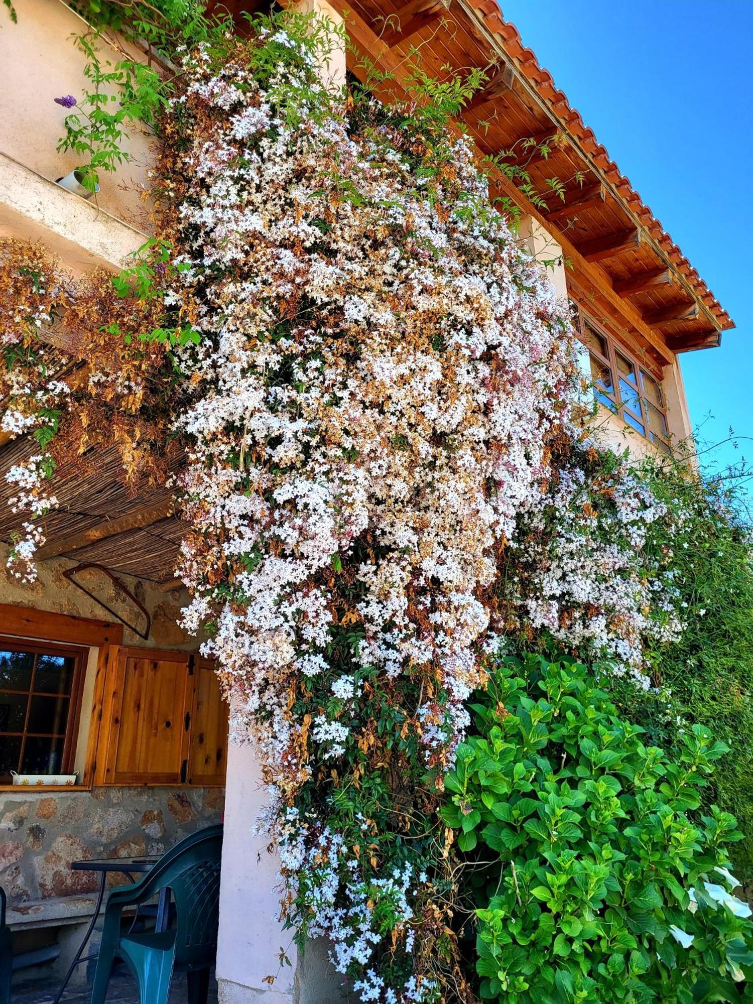 Casa Rural Balcon Del Camino Viejo Valencia de Alcántara Esterno foto